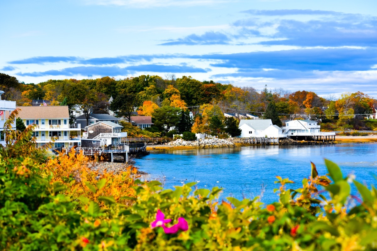 houses near a harbor