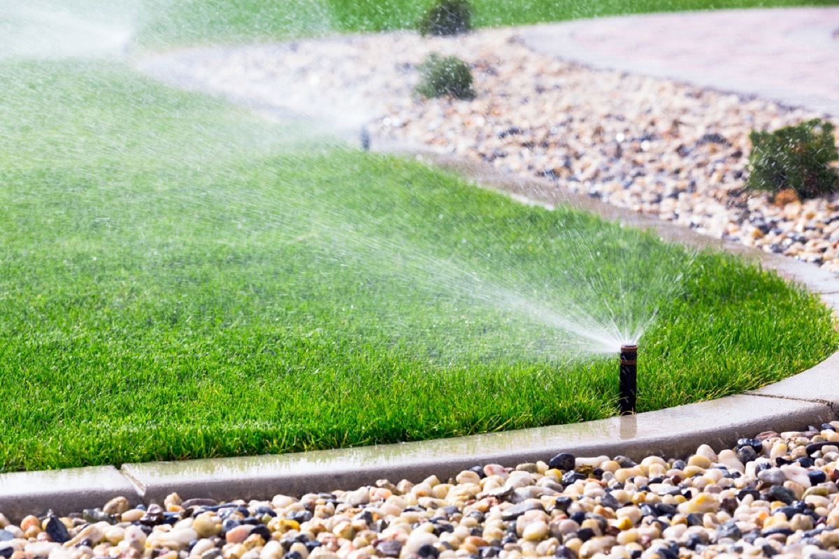 lawn sprinkler