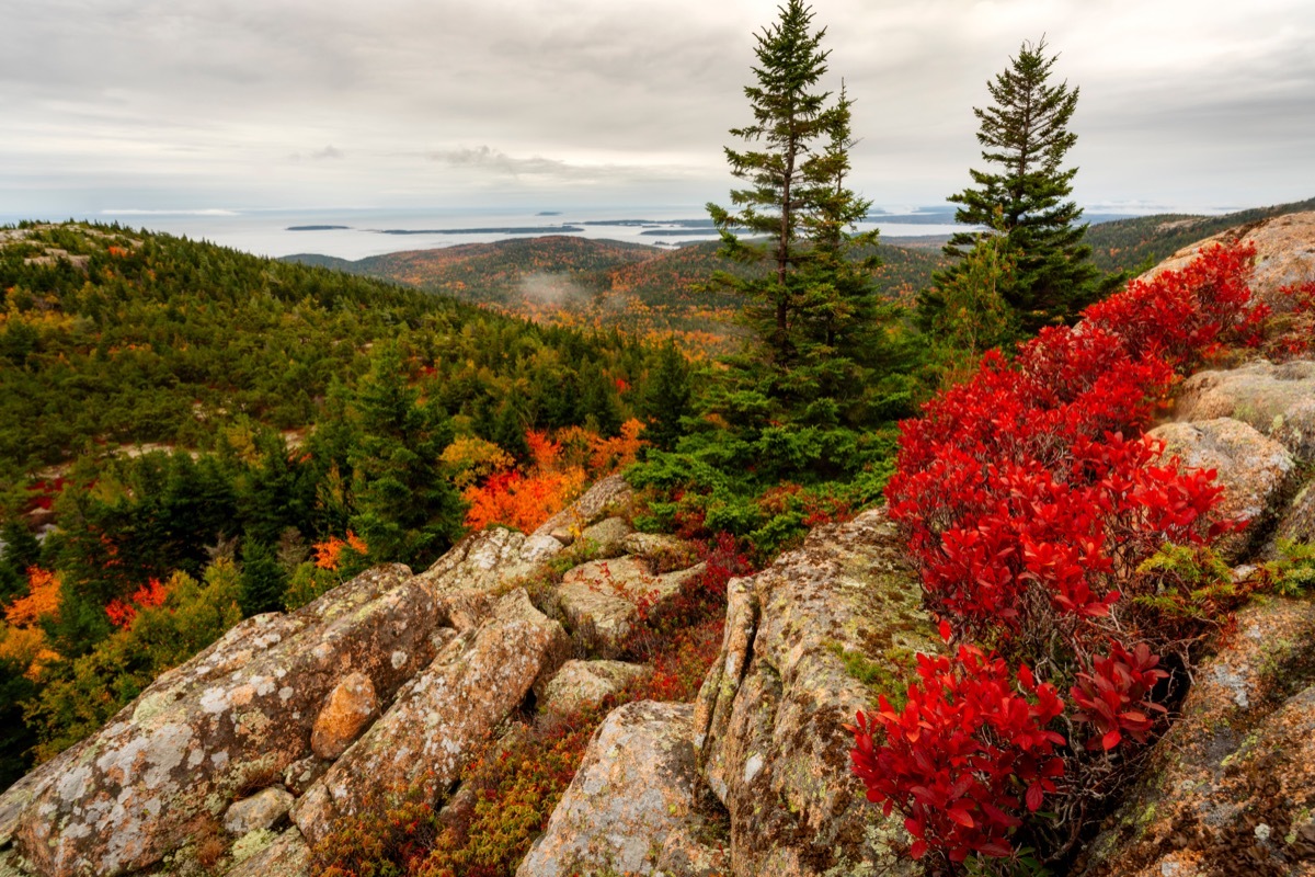 Acadia National Park