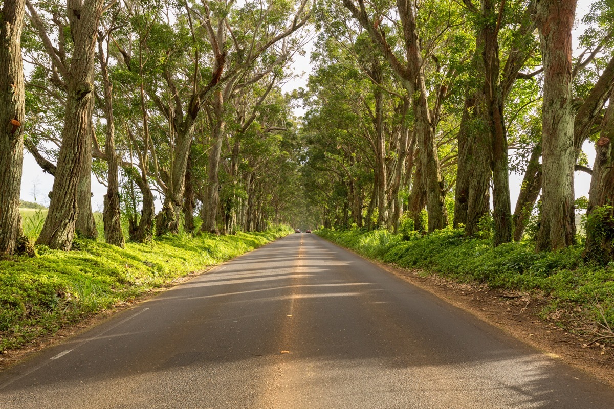 maluhia road kauai hawaii