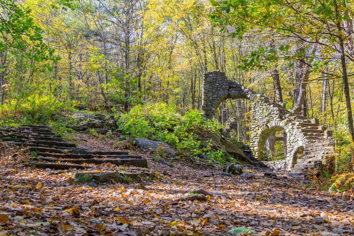 Castle at Madame Sherri's Forest