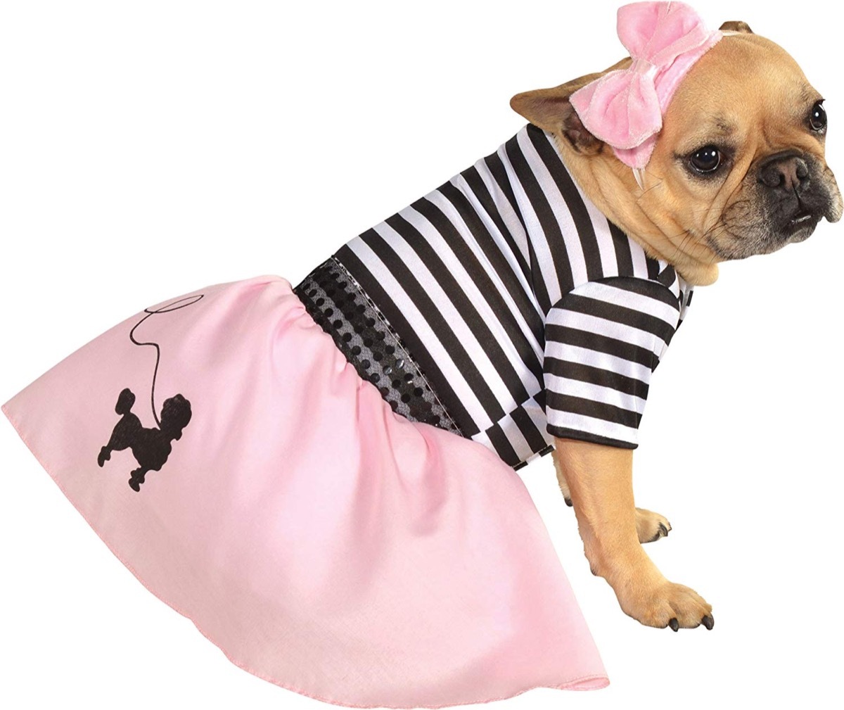 dog in striped shirt and pink skirt, dog halloween costumes