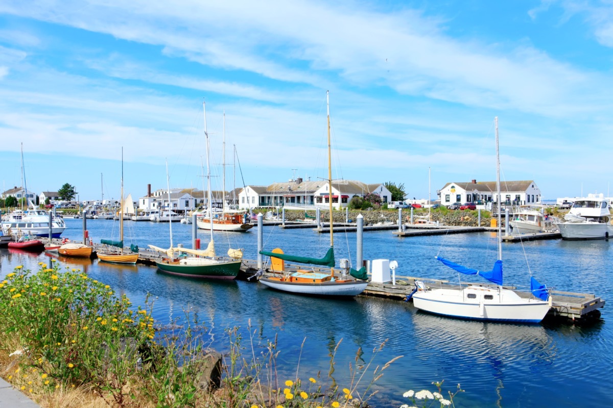 dock full of boats in Port Townsend Washington