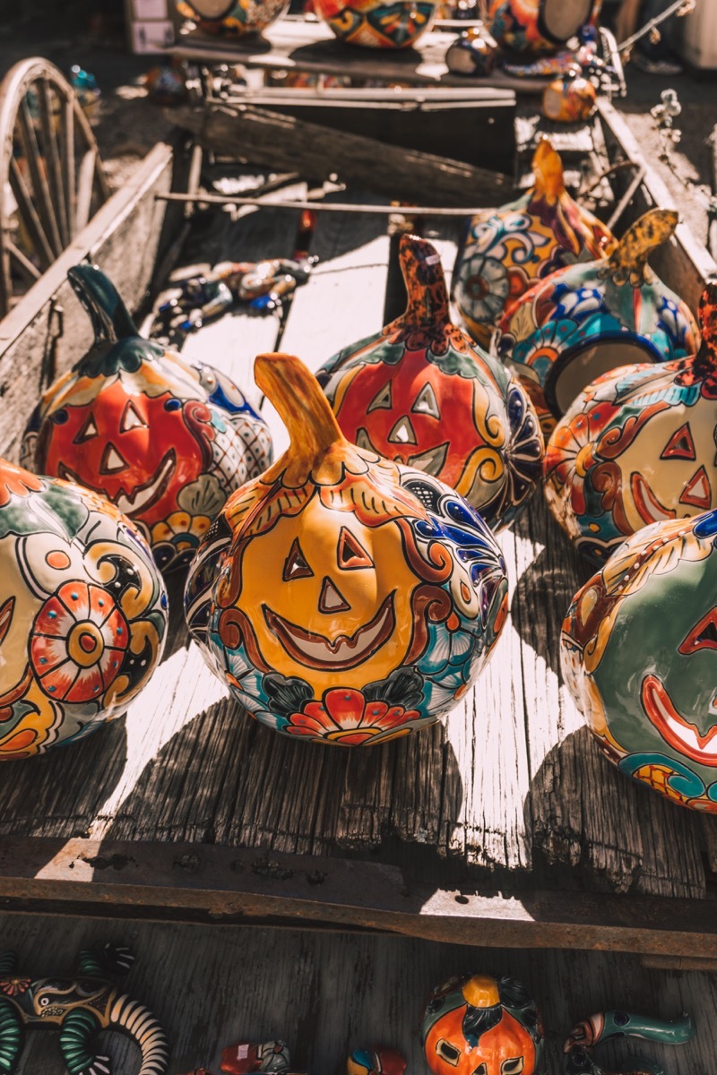 painted pumpkins santa fe US