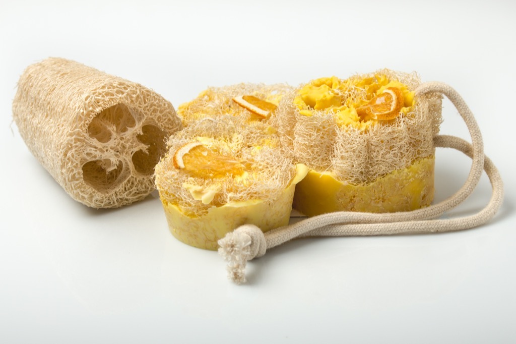 loofah health myths