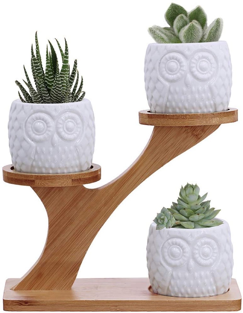 three white ceramic pots that look like owls with succulents in them