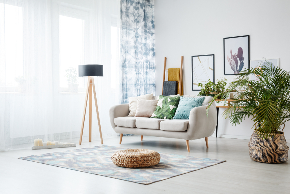 Beautiful living room with rug, lamp, house plant, curtains, and artwork