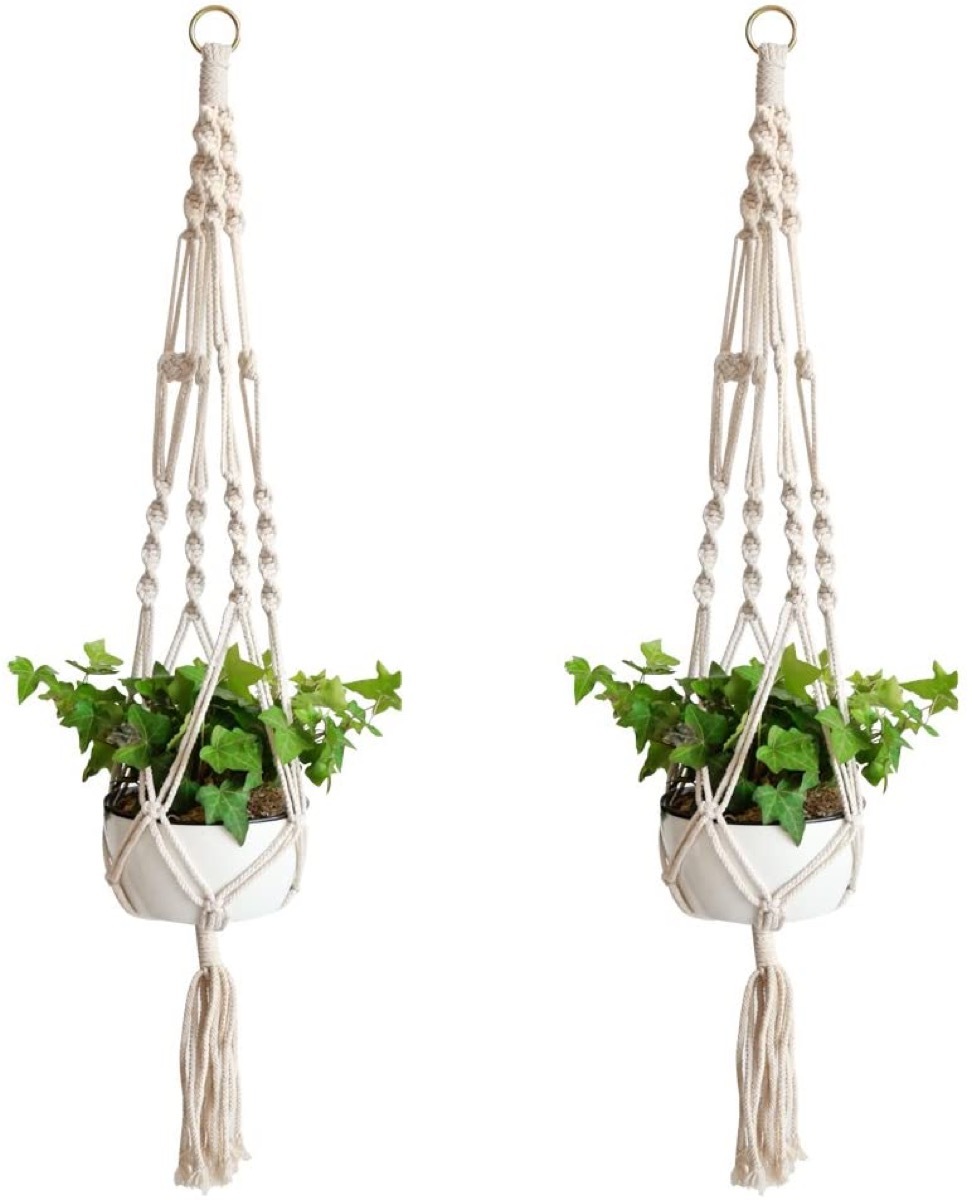 Macrame plant holder set with plants