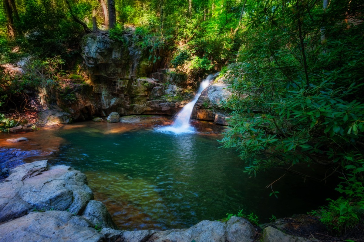 waterfall and trees in the Cherokee National Forest in Elizabethton, Tennessee