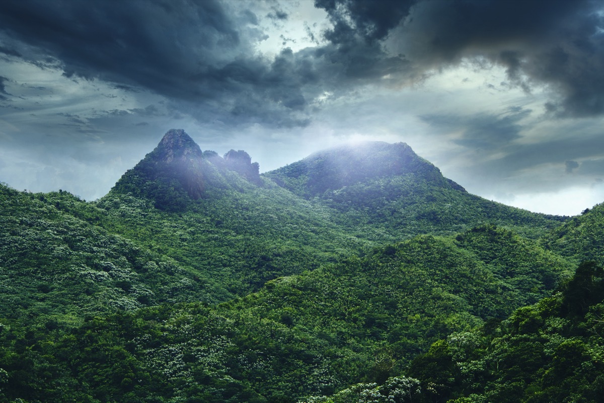 el yunque national forest