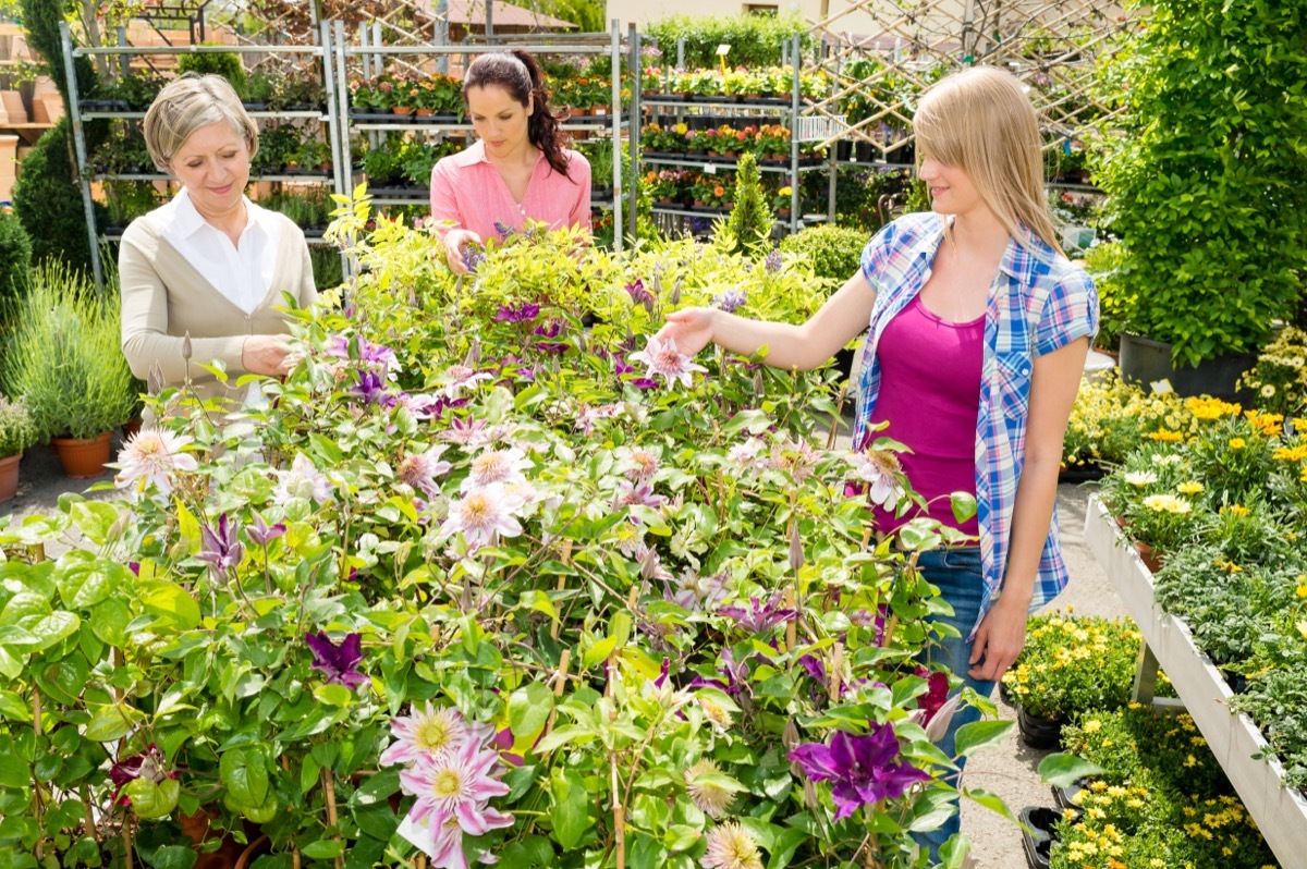 women shopping at garden center